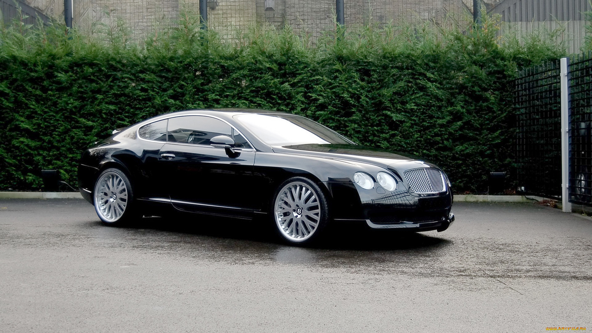 bentley, 